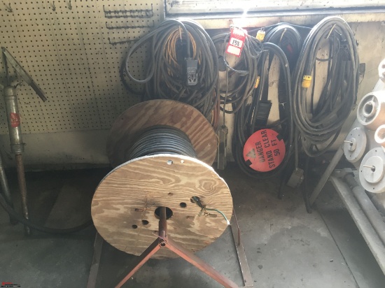 ASSORTED EXTENSION CORDS, 110/220