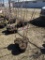 HONEY CRISP APPLE TREE, BID X 3