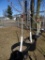 RED SUNSET MAPLE, BID X 2