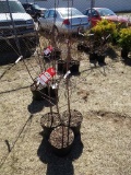 HONEY CRISP APPLE TREE, BID X 3