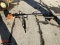 STIHL F590R GAS POWERD WEED WHIP