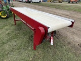 10' X 30'' CONVEYOR BELT, ELECTRIC
