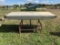BEI TILT BELT CONVEYOR FOR BLUEBERRIES, 36'' X 8'