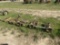 BUDDINGH 4-ROW BASKET WEEDER FOR PARTS OR REPAIR