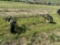 JOHN DEERE HILLER FOR PARTS OR REPAIR