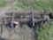 INTERNATIONAL 2-ROW BELLY MOUNT CULTIVATOR