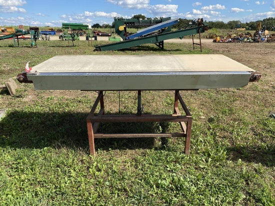 BEI TILT BELT CONVEYOR FOR BLUEBERRIES, 36'' X 8'