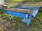 CONVEYOR, 20'' X 6'