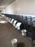 (20) CALF PENS, STEEL, BUCKET HOLDERS, 20'' WIDE BY 46'' LONG, CAN BE SET UP INDIVIDUALLY OR TOGETHE