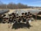 IRRIGATION PIPE, 6'' x APPROX. 30', STAND NOT INCLUDED  [APPROX. 48]