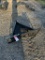 NEW LAND HONOR ICE SCRAPER, SKID STEER QUICK ATTACHMENT