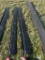 FORK EXTENSIONS, 84''