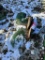 JOHN DEERE 40 STANDARD FENDERS [2]