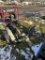 ECHO PB-620 BACKPACK BLOWER