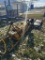 WOODS 5' DITCH BANK MOWER, 3PT, PTO DRIVEN