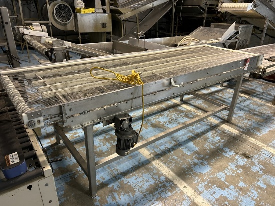 CONVEYOR, 31'' X 10'