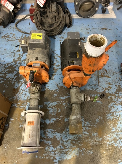 BERKELEY ELECTRIC PUMPS [2]