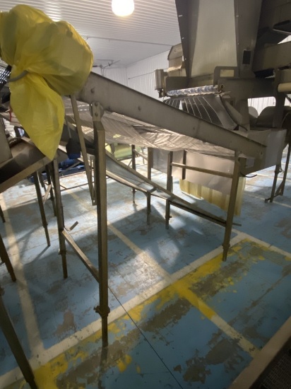 LAKEWOOD INCLINE ELECTRIC CONVEYOR