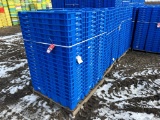 THUNDERBIRD BLUEBERRY LUGS, BID X 1000