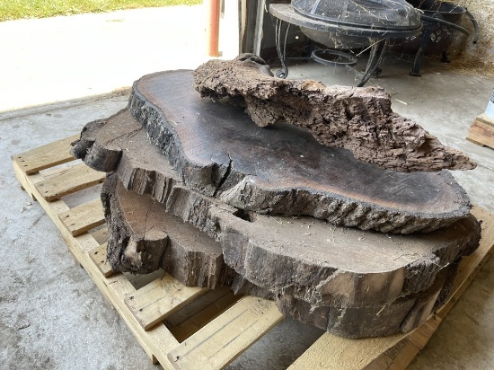 (3 QTY.) PIECES OF CUT LIVE EDGE LOGS, APPROX. 37.5'' DIAMETER X 2.5'' THICK, APPROX. 40'' DIAMETER 