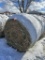 4' X 5' ROUND BALES, PURE ALFALFA HAY, APPROX. 800 LBS