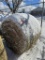 4' X 5' ROUND BALES, PURE ALFALFA HAY, APPROX. 800 LBS
