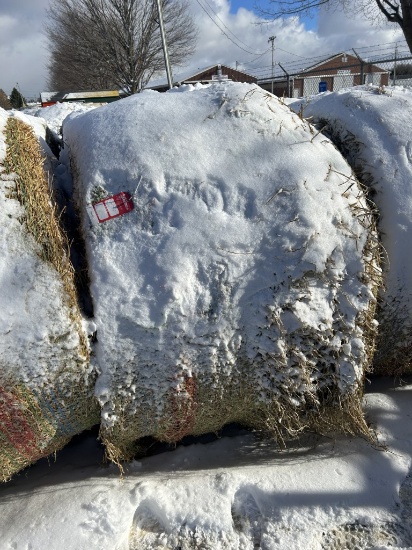 4' X 5' ROUND BALES, PURE ALFALFA HAY, APPROX. 800 LBS