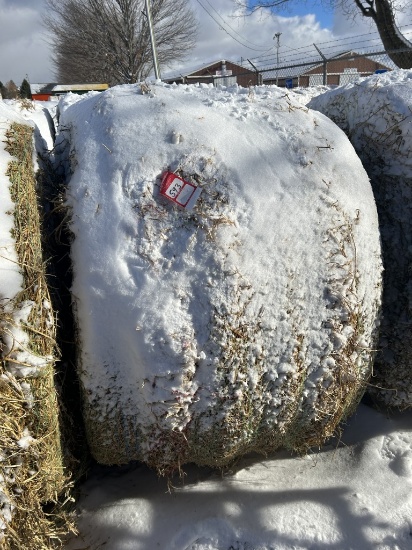 4' X 5' ROUND BALES, PURE ALFALFA HAY, APPROX. 800 LBS