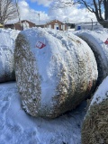 4' X 5' ROUND BALES, PURE ALFALFA HAY, APPROX. 800 LBS