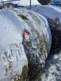 4' X 5' ROUND BALES, PURE ALFALFA HAY, APPROX. 800 LBS
