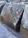 4' X 5' ROUND BALES, PURE ALFALFA HAY, APPROX. 800 LBS