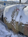 4' X 5' ROUND BALES, PURE ALFALFA HAY, APPROX. 800 LBS