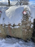 4' X 5' ROUND BALES, PURE ALFALFA HAY, APPROX. 800 LBS
