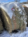 4' X 5' ROUND BALES, PURE ALFALFA HAY, APPROX. 800 LBS