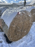 4' X 5' ROUND BALES, PURE ALFALFA HAY, APPROX. 800 LBS