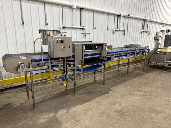 SQUASH PACKING LINCE - STRAUSS WASHER/BRUSHER, BELT CONVEYOR, 18' X 14" BELT, 66" OVERALL HEIGHT