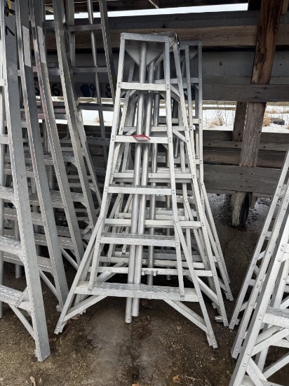 ORCHARD LADDERS (5), APPROX. 6'