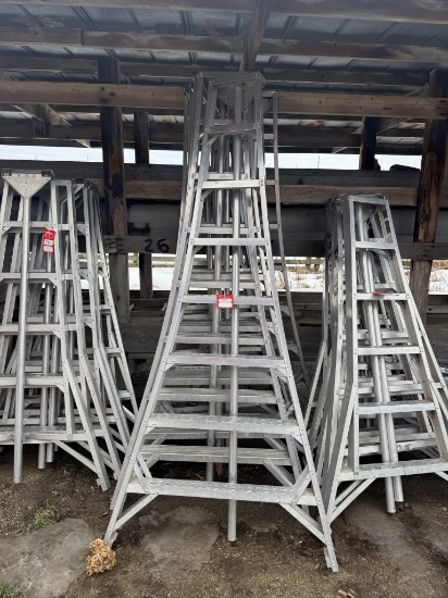 ORCHARD LADDERS (6), APPROX. 8'