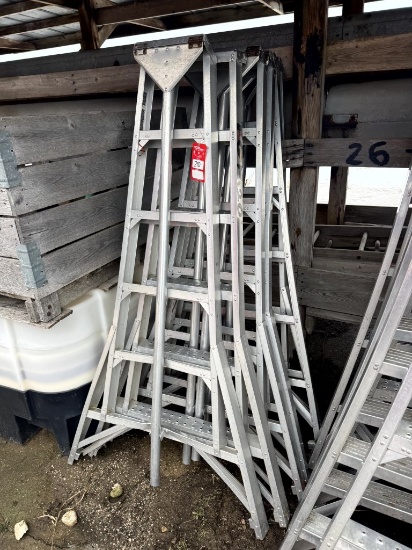 ORCHARD LADDERS (6), APPROX. 6'