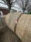 GRASS HAY ROUND BALES