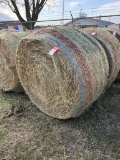 ALFALFA HAY BIG ROUND BALE, 800-900 LBS