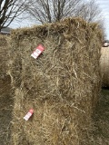 GRASS HAY BIG SQUARE BALES, SOME ALFALFA IN IT