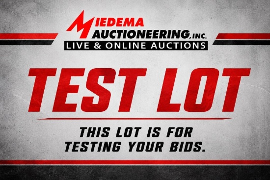 Test Lot - This lot is used to test your bids