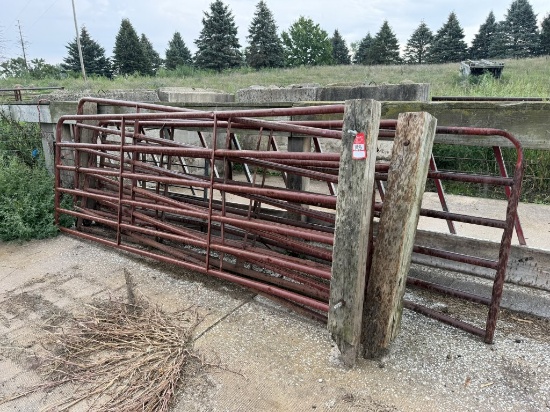 Livestock gates, 142'' (Qty 5)