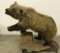 Kodiak Island Alaskan Brown Bear