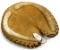 DE; softball mitt; SBC2
