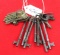 LOT: 7; KK; skeleton keys; 6; KK; logo lock keys; 6; Simmons; door keys