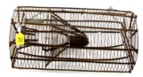 Shapleigh Hardware; wire rat trap; “Never Fail”; another piece not seen before