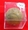 Shapleigh, Official Softball, In Plastic Case