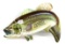 Win. Advertising, Fish, Large Mouth Bass, Marked World-famous Win. Rods & Reels